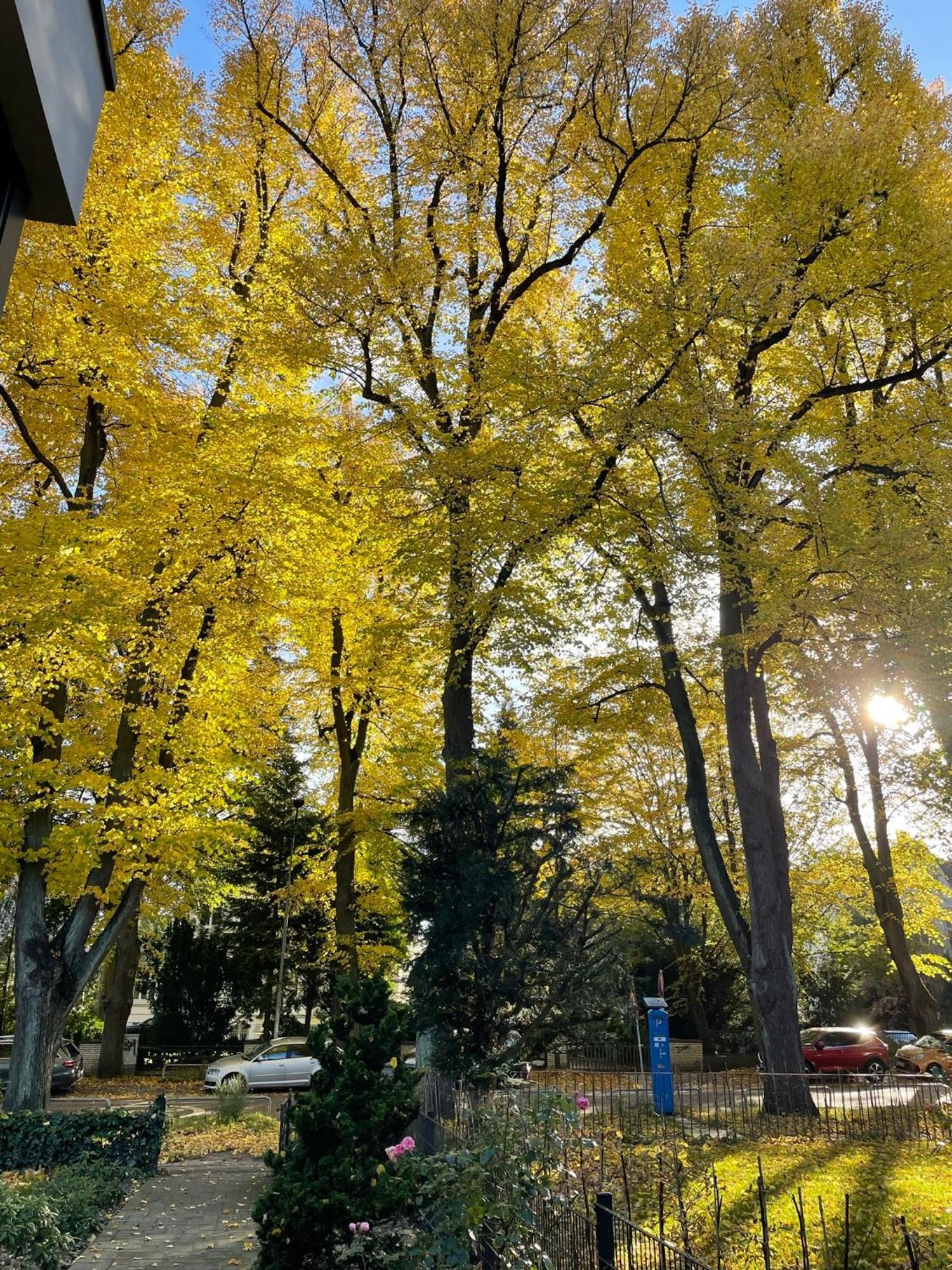 Aparthotel Stadtpark Любек Екстериор снимка